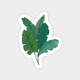 Contour Line Leaves in Teal Sticker